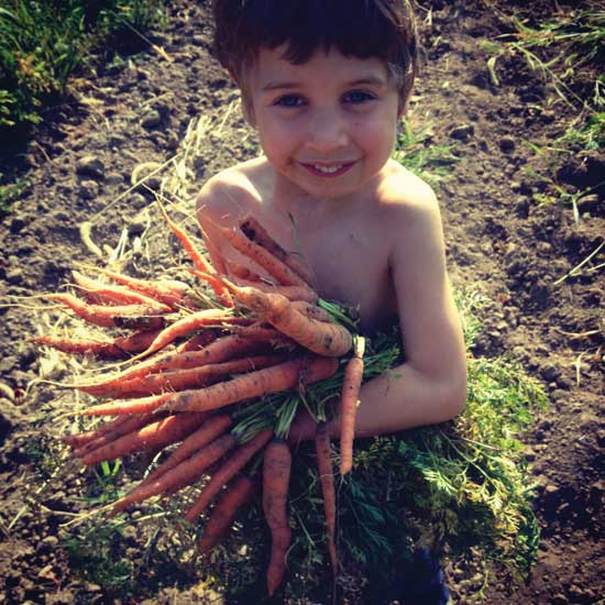 Cay happily chips in by collecting carrots.